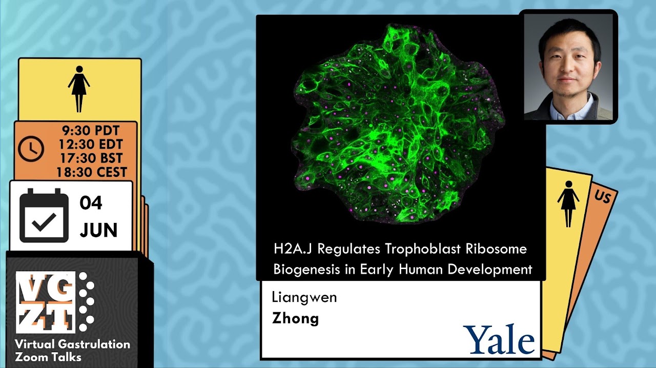 Season 7 VGZT poster for Liangwen Zhong, 2026-06-04.